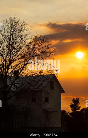 La silhouette d'angle d'un ancien bâtiment de ferme en bois. La structure a une cheminée avec un grand arbre sans feuilles à l'avant. L'arrière-plan est lumineux Banque D'Images