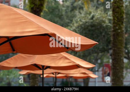 Plusieurs grands parasols d'été en nylon ombragé de patio, de couleur orange, ouverts avec des supports en bois brun. Les auvents de protection solaire sont alignés. Banque D'Images