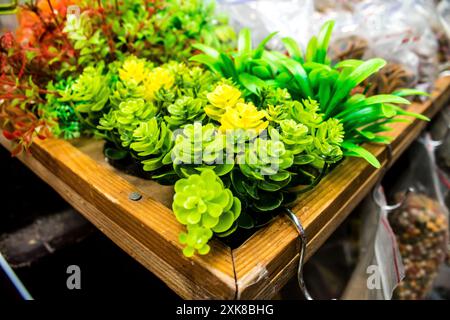 Odessa, Ukraine, 21 juillet 2024 fournitures d'aquarium vendues sur le marché de Starokonny. Ce marché est célèbre pour la vente d'animaux, y compris une grande variété d'AQ Banque D'Images