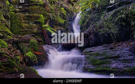 Photo longue exposition de secret Falls Rapids cascades cascade sur Guy Fawkes Hobart Rivulet, Mount Wellington, South Hobart, Tasmanie, Australie Banque D'Images