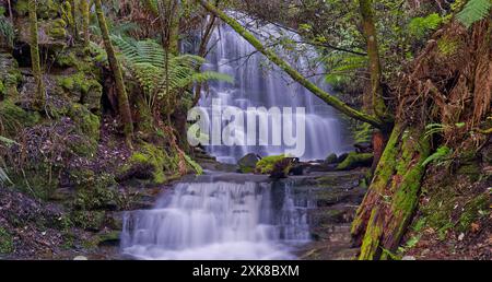 Photo longue exposition des chutes de Myrtle Gully chutes rapides cascades cascade sur Guy Fawkes Hobart Rivulet, Mount Wellington, South Hobart, Tasmanie, Australie Banque D'Images