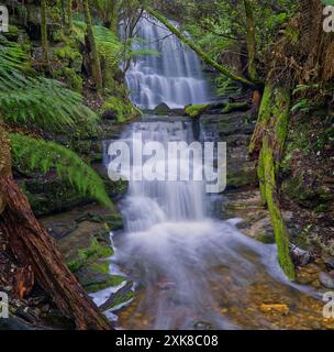 Photo longue exposition des chutes de Myrtle Gully chutes rapides cascades cascade sur Guy Fawkes Hobart Rivulet, Mount Wellington, South Hobart, Tasmanie, Australie Banque D'Images