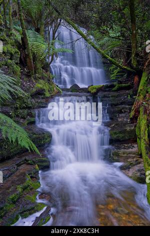 Photo longue exposition des chutes de Myrtle Gully chutes rapides cascades cascade sur Guy Fawkes Hobart Rivulet, Mount Wellington, South Hobart, Tasmanie, Australie Banque D'Images