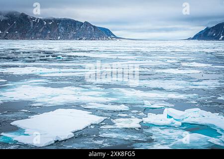 Icebergs arctiques avec coulées de glace Banque D'Images