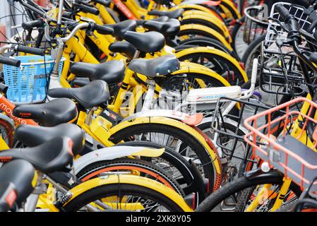 Rangées de vélos publics jaunes de location. Système de partage de bicyclettes Banque D'Images