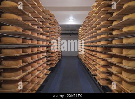 D'innombrables rondes de fromage mûrissant sur des étagères en bois dans l'installation de stockage Banque D'Images