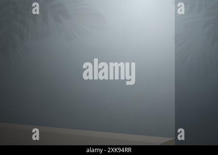 Murs gris foncé. Les compositions de Monstera projettent des ombres sur le mur. Maquette pour les présentations de marque de produits, aliments, cosmétiques ou accessoires. Banque D'Images