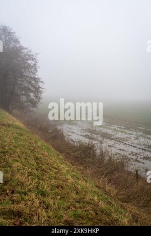 Le siège du champ de bataille de Bastogne, la bataille pour le paysage de Noville en Belgique Banque D'Images