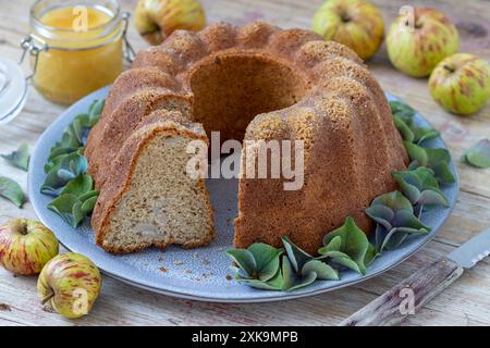 gâteau gugelhupf avec farine complète, miel et pommes sur une assiette décorée de fleurs d'hortensia Banque D'Images