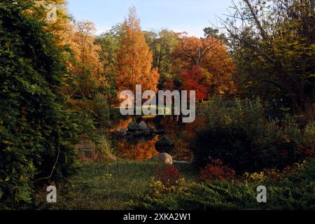 Jardin japonais à Wroclaw en automne Banque D'Images