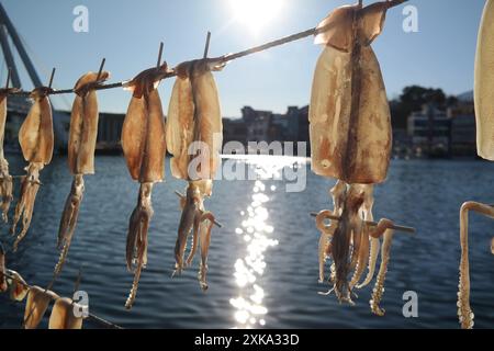 Calmars séché séchant sur une corde dans la mer de l'est, corée Banque D'Images