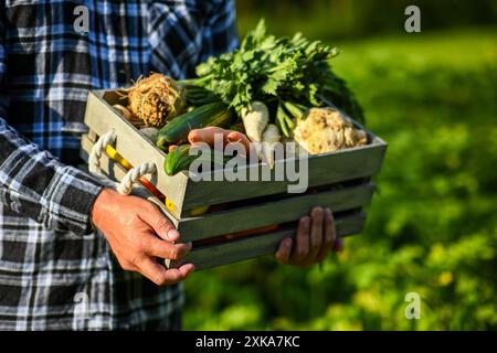 Agriculteur tient une caisse en bois pleine de légumes biologiques frais, juste récoltés dans le jardin. Banque D'Images