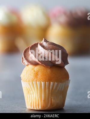 Un gros plan d'un mini cupcake avec un tourbillon de glaçage au chocolat sur le dessus. L'arrière-plan présente des cupcakes flous avec différentes couleurs de glaçage. Banque D'Images