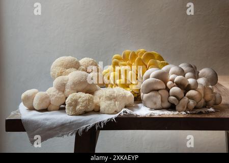 Variété de gros champignons crus sur la table en bois. Huîtres jaunes, Lion's Maine et champignons huîtres bleues. Banque D'Images