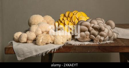 Variété de gros champignons crus sur la table en bois. Huîtres jaunes, Lion's Maine et champignons huîtres bleues. Banque D'Images