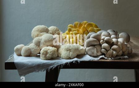 Variété de gros champignons crus sur la table en bois. Huîtres jaunes, Lion's Maine et champignons huîtres bleues. Banque D'Images