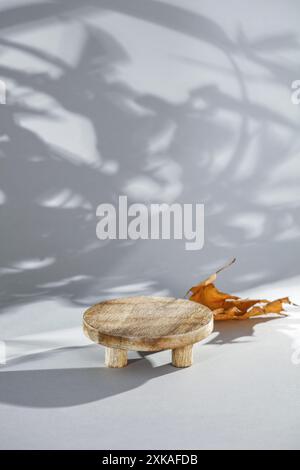 Concept d'automne de l'image pour l'affichage des produits de montage. Socle en pierre avec feuilles d'automne et lumière naturelle du soleil sur table blanche et fond mural Banque D'Images