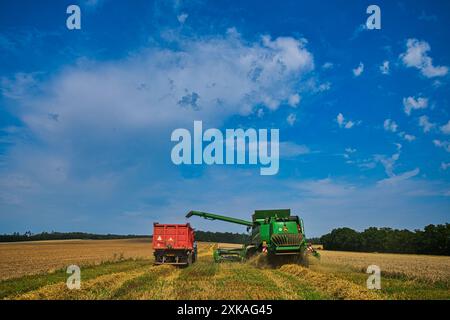 Récolte près du village de Biskoupky, région de Moravie du Sud, photographiée le 22 juillet 2024. Sur la photo, on voit la moissonneuse-batteuse John Deere T670i. (CTK photo/Patrik Uhlir) Banque D'Images