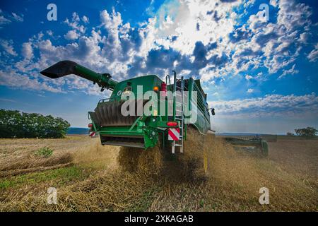 Biskoupky, République tchèque. 22 juillet 2024. Récolte près du village de Biskoupky, région de Moravie du Sud, photographiée le 22 juillet 2024. Sur la photo, on voit la moissonneuse-batteuse John Deere T670i. Crédit : Patrik Uhlir/CTK photo/Alamy Live News Banque D'Images