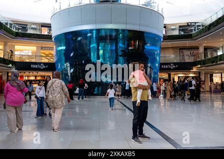 Poissons et requins dans l'aquarium du grand centre commercial Morocco Mall à Casablanca le 8 octobre 2023. Casablanca, une ville en plein développement, est l’éco Banque D'Images
