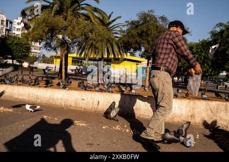 Un homme nourrissant des pigeons sur la place des Nations Unies à Casablanca le 8 octobre 2023. Casablanca, une ville en plein développement, est la capitale économique de Banque D'Images