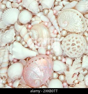 Fond de coquillages blancs et roses et de perles d'huître avec une grande collection de coquillages de plage. Nature composition de vie marine pour le thème de l'été. Banque D'Images