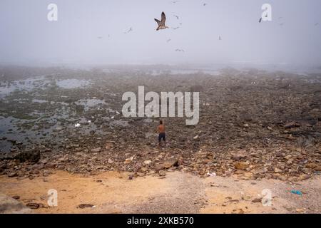 Un homme avec des oiseaux sur la plage d'Ain Diab sur l'océan Atlantique à Casablanca le 8 octobre 2023. Casablanca, une ville en plein développement, est le cap économique Banque D'Images