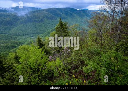 Vue sur la gorge de Linville dans l'ouest de la Caroline du Nord, États-Unis Banque D'Images