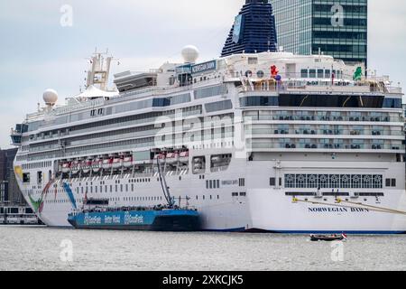 Le navire de croisière Norwegian Dawn au terminal passagers Amsterdam, Cruise Port Amsterdam, appartient à Norwegian Cruise Line, pays-Bas Banque D'Images