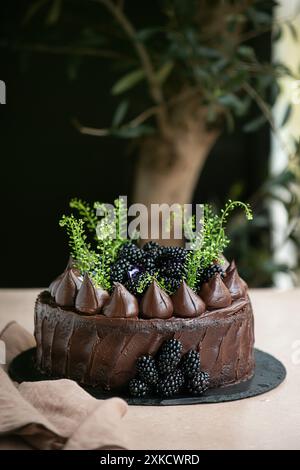 Gâteau au chocolat avec des mûres sur le dessus sur une table en bois. Gâteau d'anniversaire. Joliment décoré. Banque D'Images