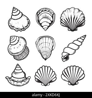 illustration de contour de coquillage. Ensemble de vecteurs coquillages. Illustrations dessinées à la main de la ligne gravée. Collection de croquis réalistes divers mollusques mer s. Illustration de Vecteur