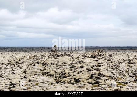 Eldhraun lave field and its Moss Heath | le champ de lave d'Eldhraun et son épaisse mousse gris vert qui recouvre comme un tapis les blocs de lave sur Banque D'Images