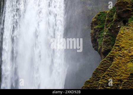 Chutes de Skogafoss est de 60 mètres de haut. L'eau provient du glacier | chute d'eau de Skogafoss est heute de 60 mètres et l'eau vient des glaciers Banque D'Images