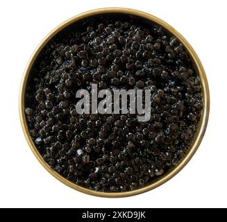 Caviar noir dans une boîte de conserve ouverte sur fond blanc. Vue de dessus. Délices de fruits de mer gastronomiques. Banque D'Images