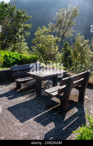 Bancs en bois vides et une table sur un endroit en forêt pour se reposer ou pique-niquer. Diverses plantes autour, montagne dans une brume en arrière-plan. Central M Banque D'Images