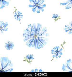 Plante de chicorée bleue. Fleurs sauvages de prairie. Modèle sans couture avec têtes de fleurs. Herbe de Cichorium. Intybus délicat. Illustration florale à l'aquarelle. Banque D'Images