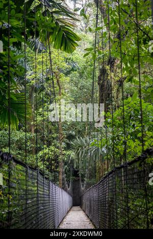 Pont suspendu, Parc du pont suspendu de Mistico, Costa Rica, Amérique centrale Banque D'Images