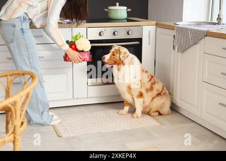 Jeune femme nourrissant un chien berger australien avec des légumes à la maison Banque D'Images