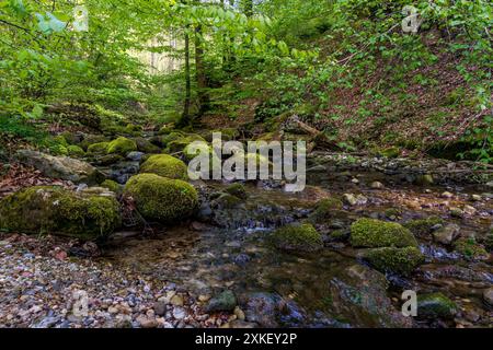 Belle randonnée le long du lac Rottachsee avec sentier ravin jusqu'aux ruines de Burgkranzegg dans la région d'Allgau Banque D'Images