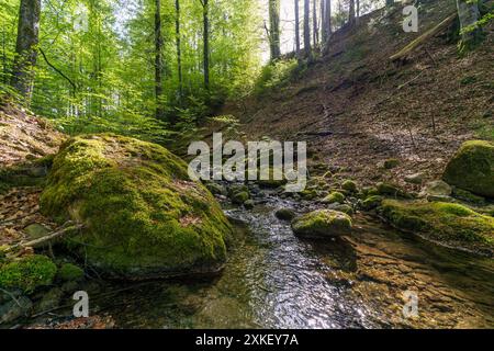 Belle randonnée le long du lac Rottachsee avec sentier ravin jusqu'aux ruines de Burgkranzegg dans la région d'Allgau Banque D'Images