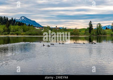 Belle randonnée le long du lac Rottachsee avec sentier ravin jusqu'aux ruines de Burgkranzegg dans la région d'Allgau Banque D'Images