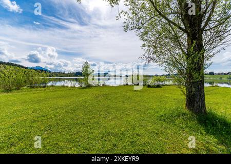 Belle randonnée le long du lac Rottachsee avec sentier ravin jusqu'aux ruines de Burgkranzegg dans la région d'Allgau Banque D'Images