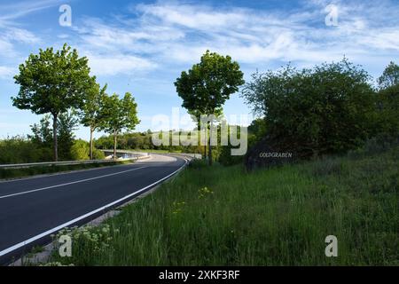 Herbe verte et arbres à côté d'une route un soir de printemps en Rhénanie-Palatinat, Allemagne. Banque D'Images