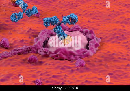 Traitement par anticorps monoclonaux dans le côlon, cancer colorectal (CCR) - gros plan illustration 3D. Banque D'Images