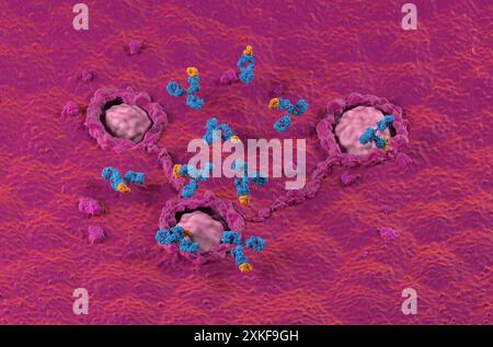 Traitement par anticorps monoclonaux dans le côlon, cancer colorectal (CRC) - vue isométrique illustration 3D. Banque D'Images