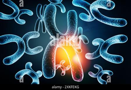 Fond des chromosomes XY. illustration 3d. Banque D'Images