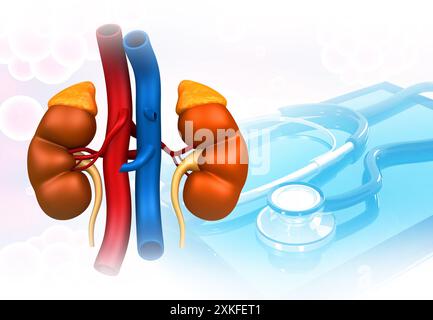 Rein humain avec stéthoscope. Diagnostic et traitement du rein. illustration 3d. Banque D'Images