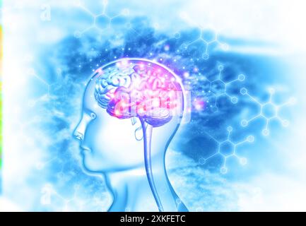 Anatomie cérébrale humaine sur fond scientifique. illustration 3d. Banque D'Images