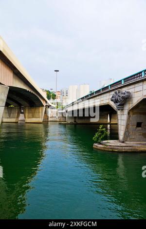 Ponts de Lyon, France : Pont Kitchener-Marchand sur la Saône. Banque D'Images