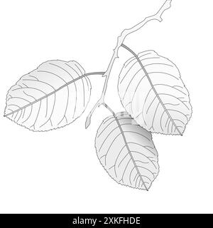 Livres de coloriage pour enfants. Feuilles d'automne sur une branche, automne. Dessin vectoriel noir et blanc Illustration de Vecteur